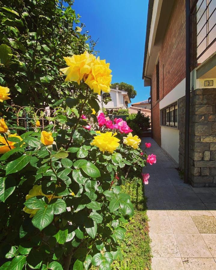 Casa Summer Cecina  Exterior photo